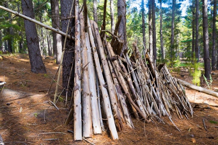 <span class="article__caption">While wooden shelters can be handy for survival situations, they have no place in the backcountry for regular campers. </span> (Photo: VictoriaYurkova/iStock via Getty Images)