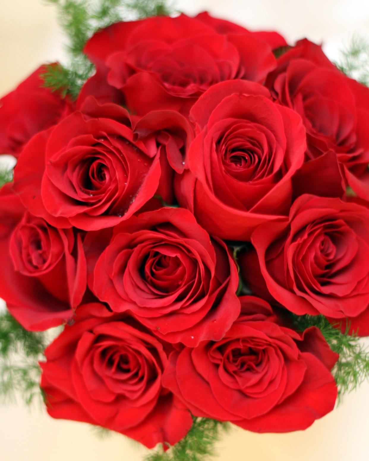 red rose bouquet