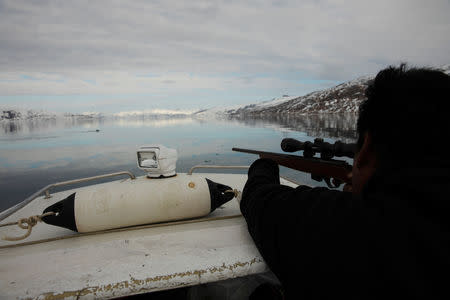 Seal hunter Henrik Josvasson takes aim at a seal swimming near the town of Tasiilaq, Greenland, June 16, 2018. REUTERS/Lucas Jackson