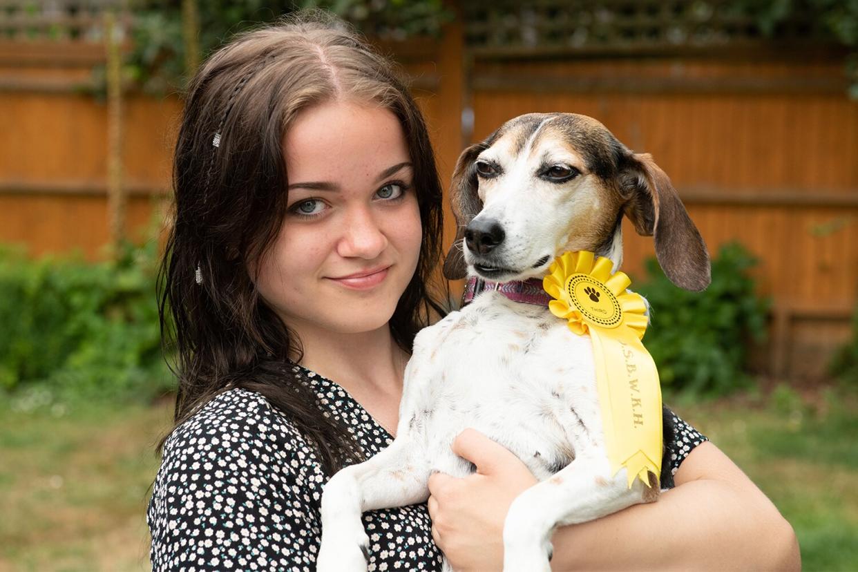 Dog Bonnie, Bonnie went missing and won a rosette at a show after being entered by a man who found her on his way to the event. Bolney, West Sussex, 13th July 2022 . See SWNS story SWNNlost. A family were left stunned when their dog escaped only to return later that day with a rosette from a rescue dog show. Peter and Paula Closier became sick with worry when their five-year-old beagle-cross Bonnie vanished on Sunday (July 10) morning. They looked all over the house in Bolney, West Sussex with their two daughters and their neighbours even joined in. Paula, 48, had called the police, vets and dog warden in a frantic bid to find her.