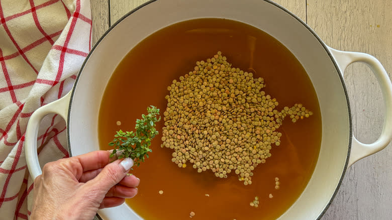 adding thyme sprig to pot of lentils and broth