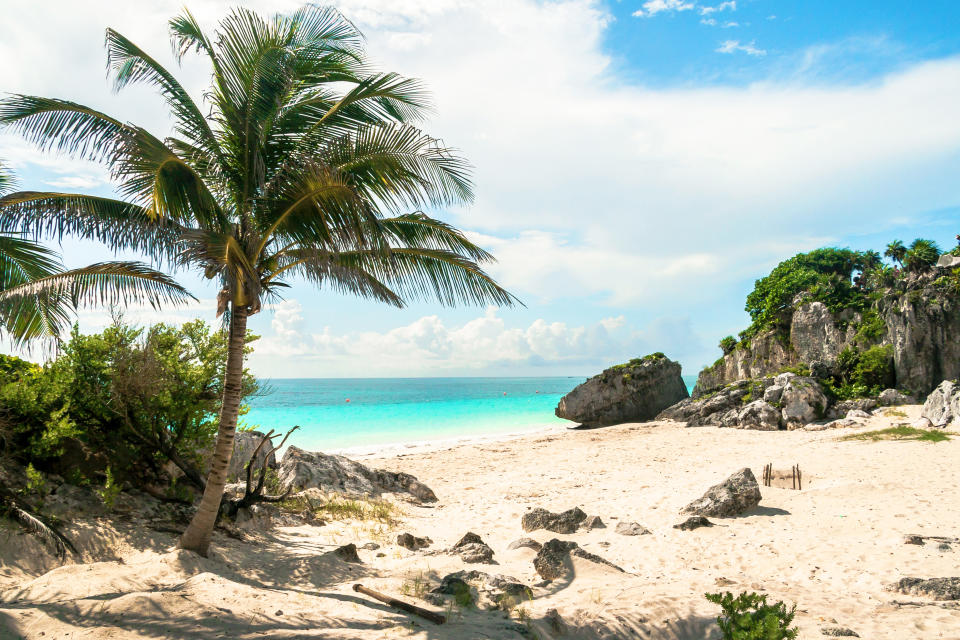 A beach with turquoise water and palm trees in Playa del Carmen, Mexico