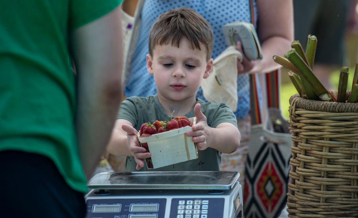 Ander Stiert, 6, has his eyes on some strawberries from Kelly's Farm during a recent visit to the Framingham Farmers Market, June 22, 2023.