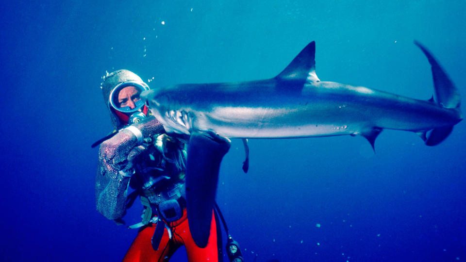 Valerie Taylor in "Playing with Sharks." (Photo: Sundance Institute)