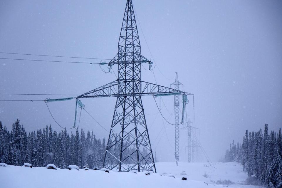 Hydro confirmed to The Canadian Press that its lines were damaged by an ice storm in southern Labrador on March 30.  (Patrick Butler/Radio-Canada - image credit)