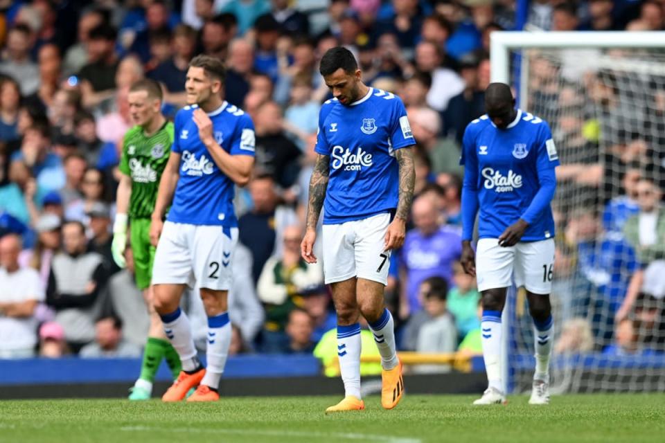 Relegation would be a disaster for Everton (Getty Images)