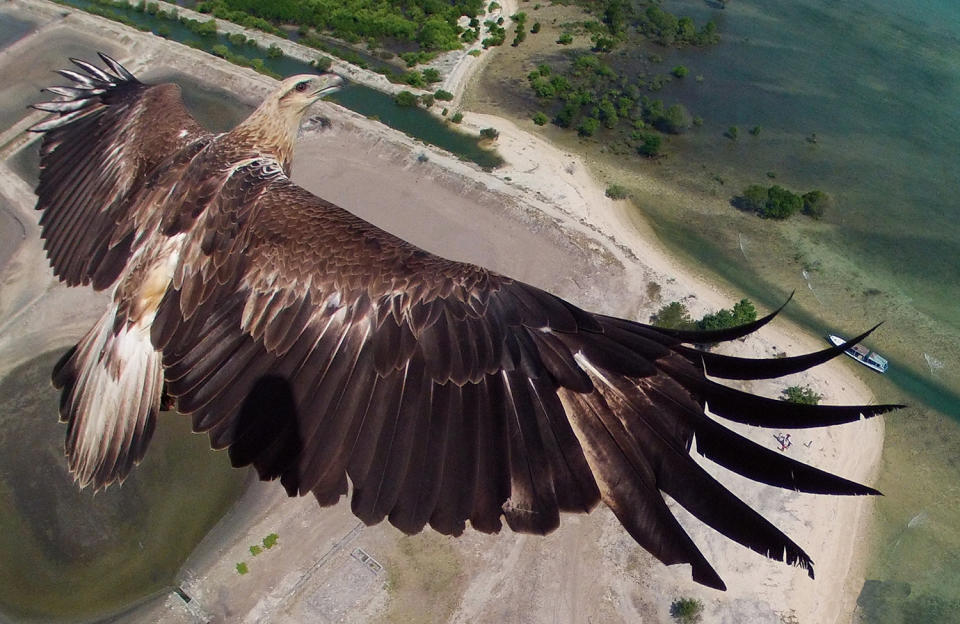 New book celebrates the very best in drone photography