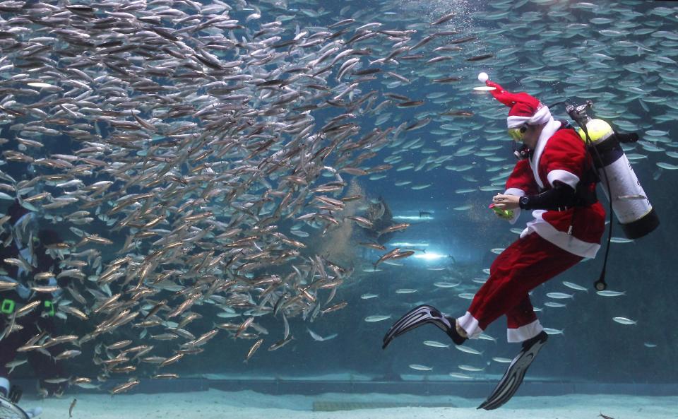 Santa Claus Diver Performs In Seoul