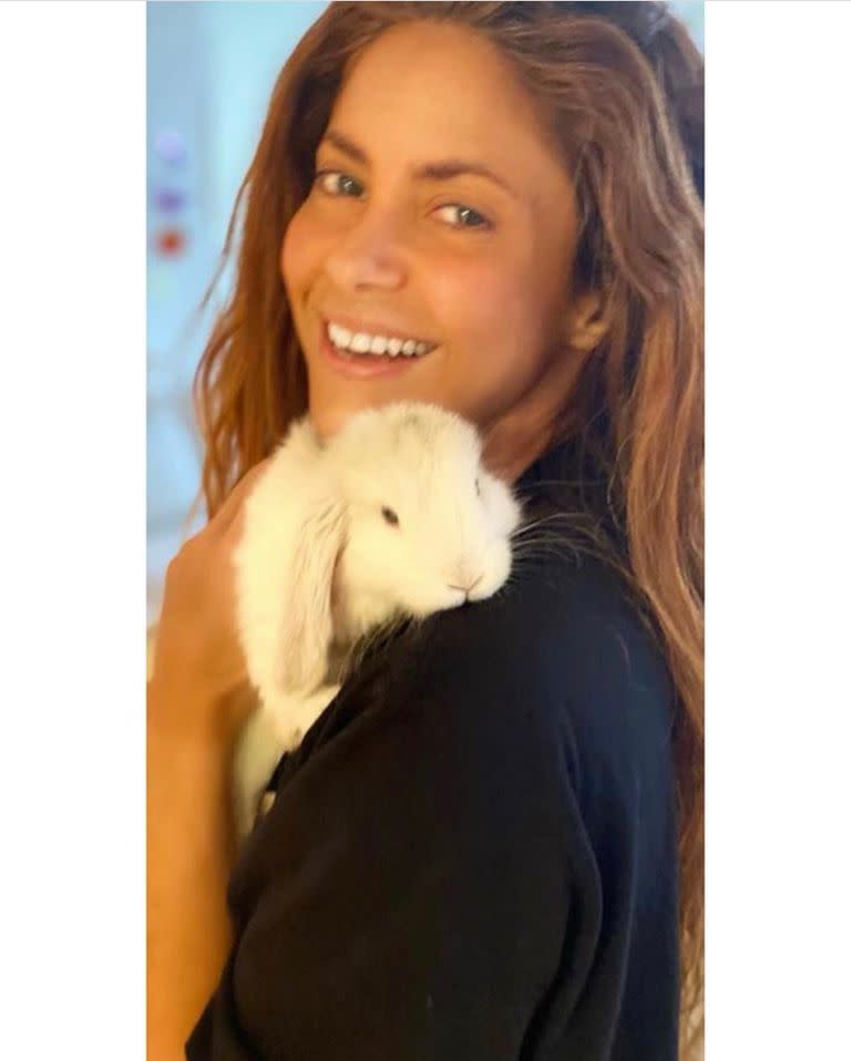 Max, el nuevo conejo de Shakira y Piqué. Crédito: Instagram