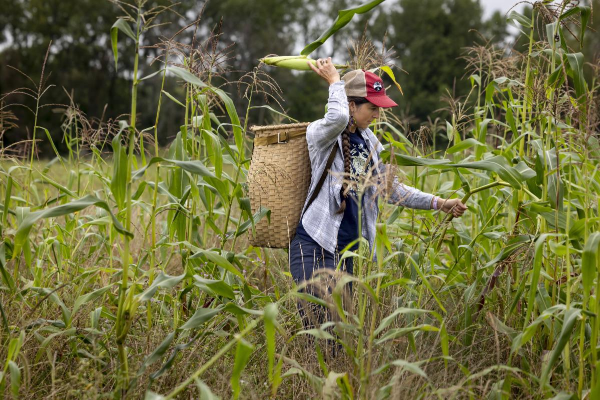 Spring rains destroyed a harvest important to the Oneida tribe. Farmers are working to adapt