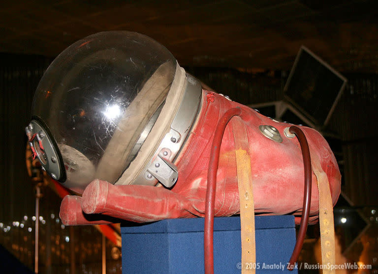 A spacesuit for a rocket dog