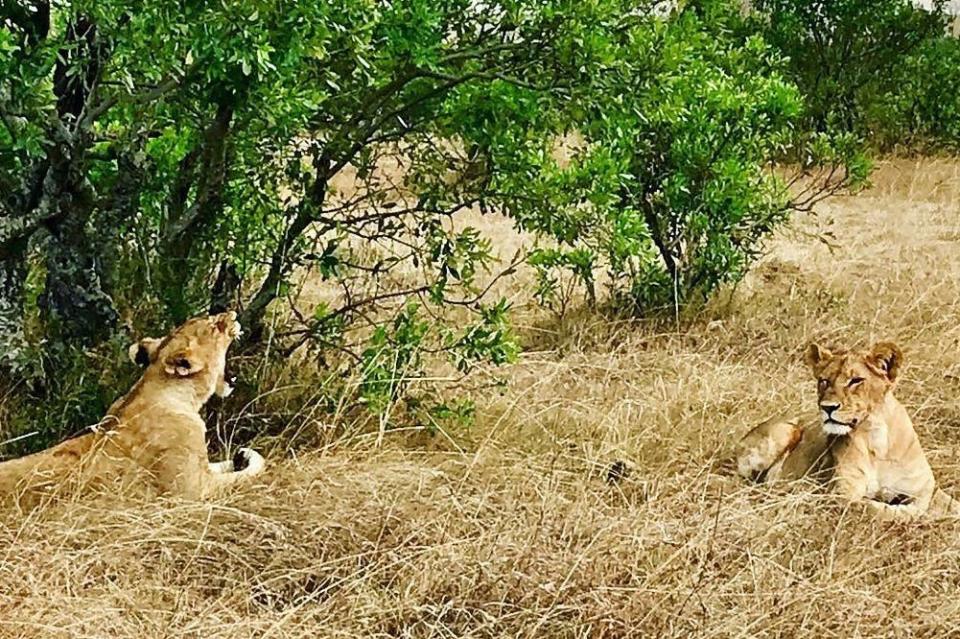 Maasai Mara