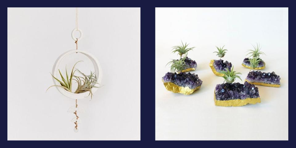 14 Inventive Ways to Display Air Plants in Your Home