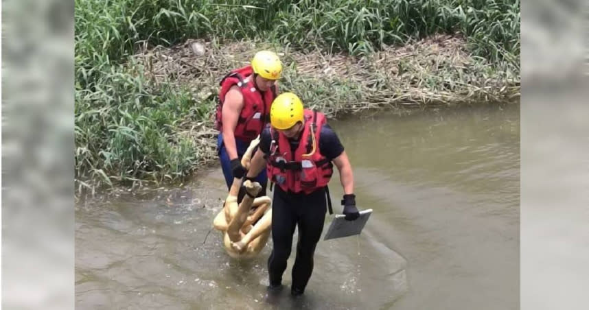 苗栗縣卓蘭鎮老庄溪驚傳出現「浮屍」，警消緊急打撈上岸才發現是一具塑膠人偶。（圖／翻攝畫面）