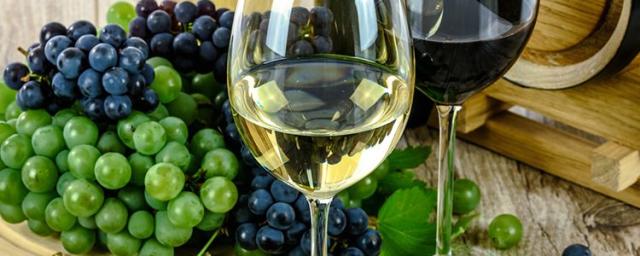 Everything You Need to Know about Wine Glasses - Foley Food and