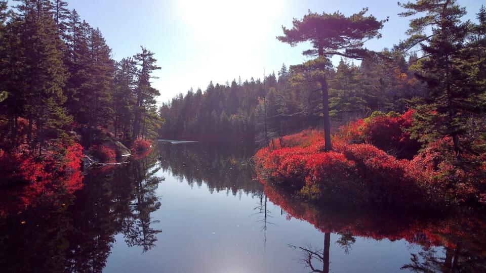 Charlies Lake is part of the expanded area of the Blue Mountain-Birch Cove Lakes Wilderness Area announced Thursday.