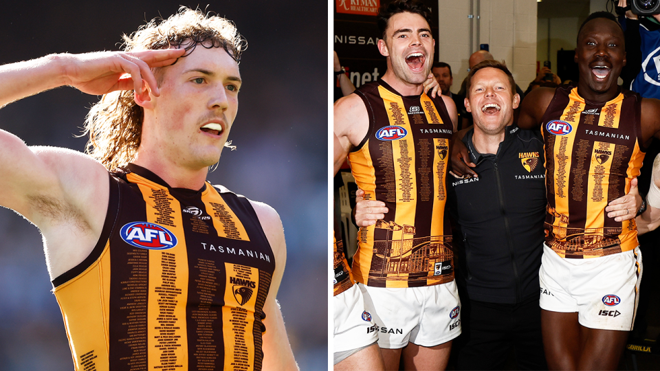 Sam Mitchell (pictured right) has sent a message to Hawthorn's rivals as the Hawks look to lock in a top eight position. (Getty Images)