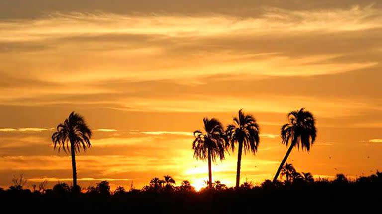 Parque Nacional El Palmar, en Entre Ríos