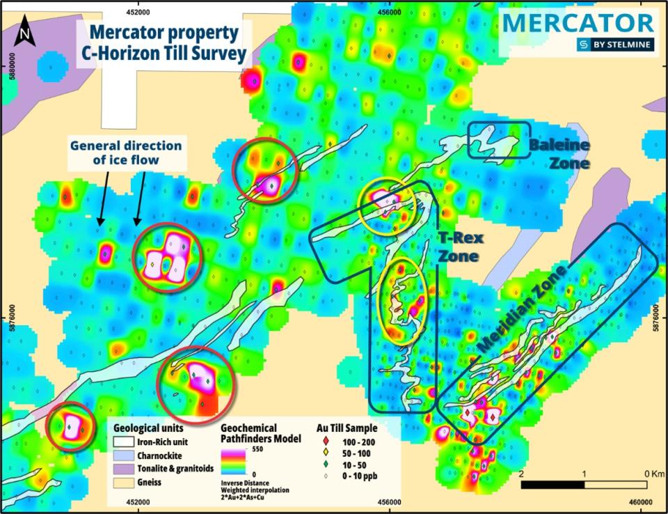 Detail of Meridian-T-Rex areas, and western extensions. Taking into account the different sample spacings for the different areas (the spacing for Meridian and T-Rex being tighter), the geochemical responses for the new targets are comparable to those at T-Rex and Meridian, the latter with known gold mineralization.