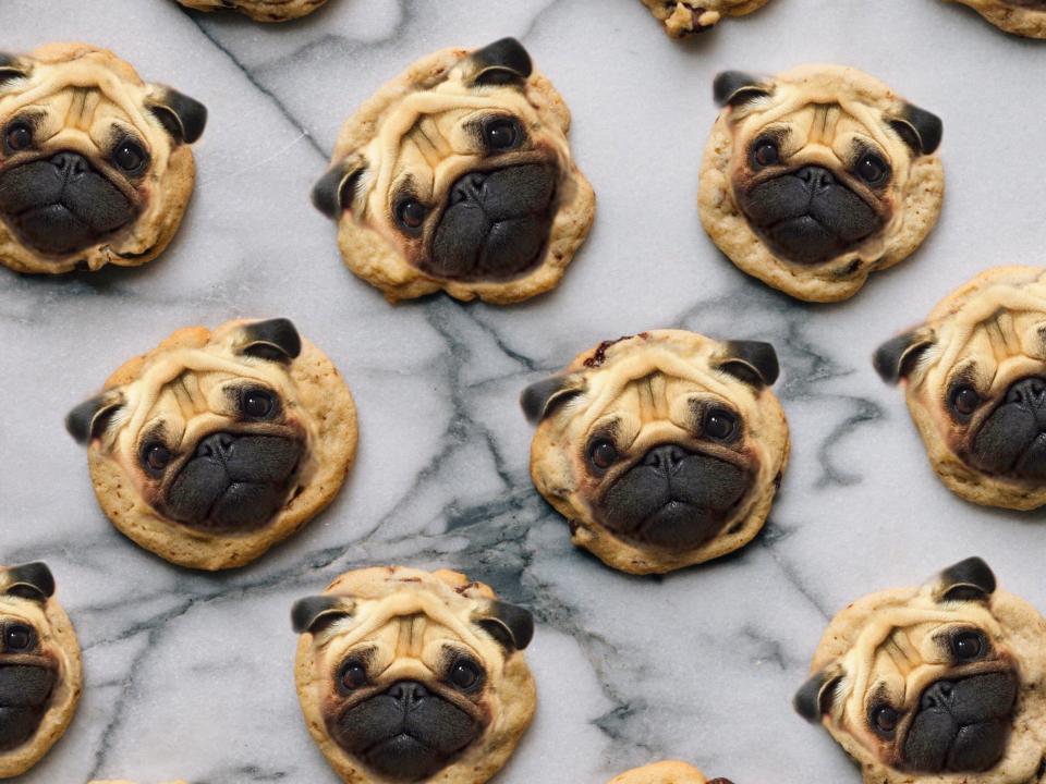 dogs in food cookies