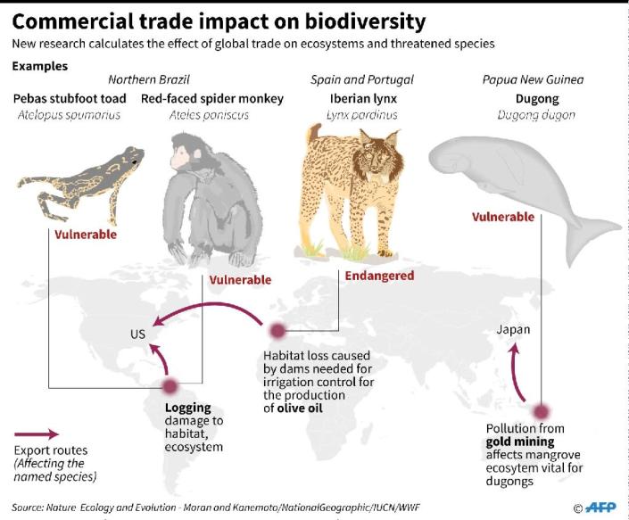 Commercial trade impact on biodiversity (AFP Photo/John SAEKI, Laurence CHU)