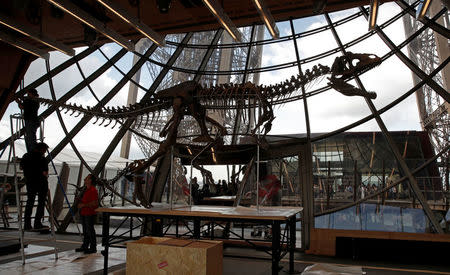 Workers reconstruct dinosaur fossil at the Eiffel tower, in Paris, France, June 2, 2018 ahead of its auction on Monday. REUTERS/Philippe Wojazer