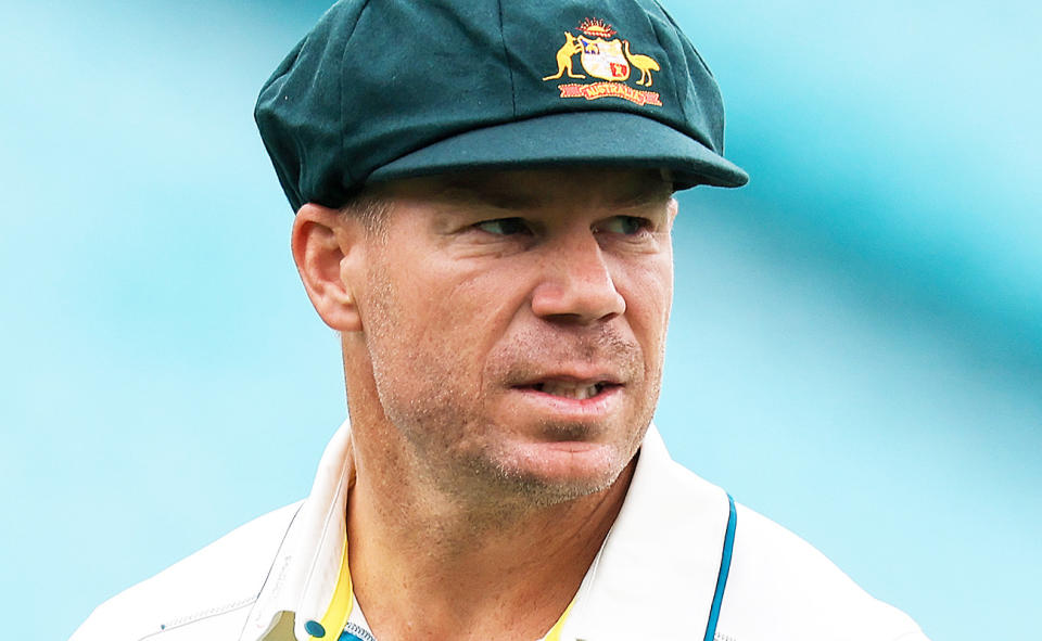 David Warner, pictured here before the final Test match of his cricket career.