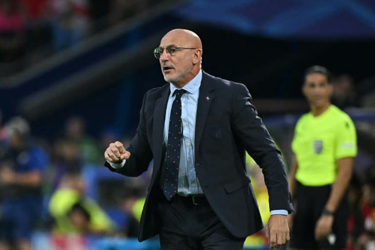 Luis de la Fuente reacts on the sidelines during Spain's 4-1 victory against Georgia at Euro 2024 (JAVIER SORIANO)