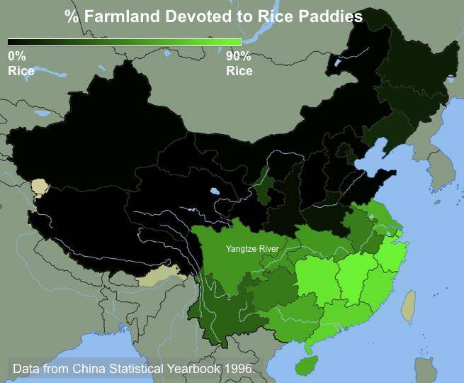 The percentage of cultivated land devoted to rice paddies in provinces across China. Southern China has traditionally farmed rice, while northern China has farmed wheat and other dryland crops like millet (Thomas Talhelm)