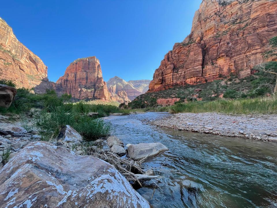 Virgin River in Zion National Park