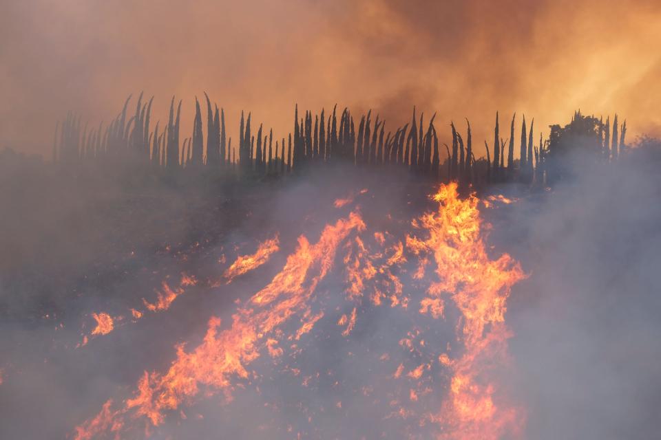 The Fairview Fire burns on a hillside Thursday, Sept. 8, 2022, near Hemet, Calif.