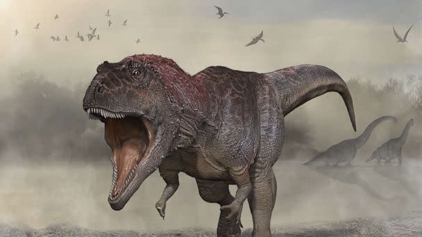 PHOTO: This Dec. 13, 2021, illustration courtesy of the University of Minnesota shows a new dinosaur Meraxes gigas. (Carlos Papolio/University of Minnesota/AFP via Getty Images)