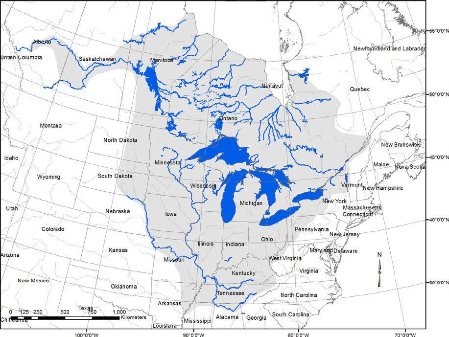 The range of the lake sturgeon covers the Great Lakes region as well as major rivers that drain to Hudson Bay in Canada.