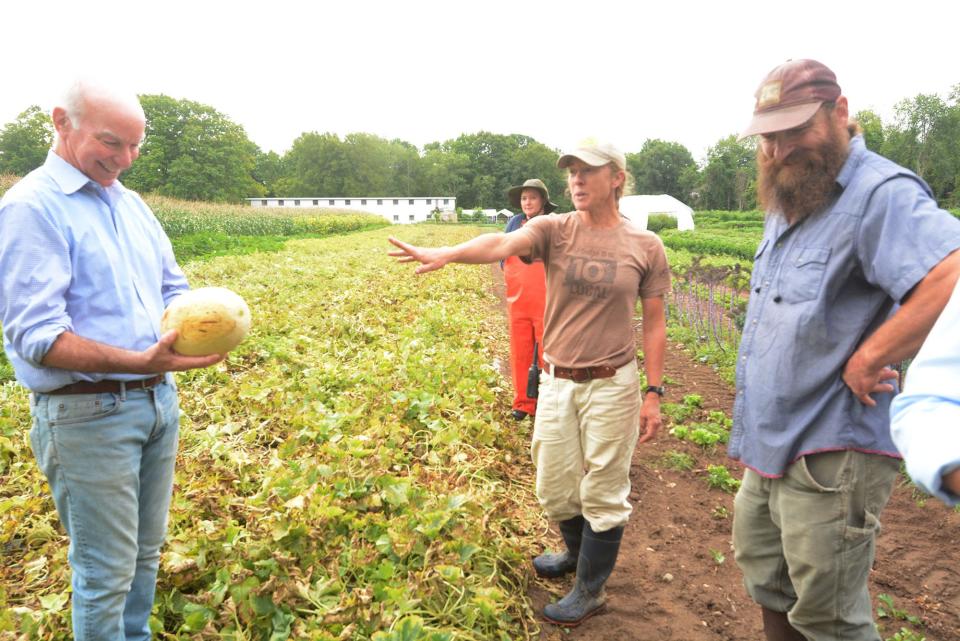 U.S. Rep. Joe Courtney looks at a cantaloupe he just picked while talking with Susan Mitchell, owner of Cloverleigh Farm, and Josh Carnes, owner of Ramble Creek Farm, Wednesday at the farms in Columbia.