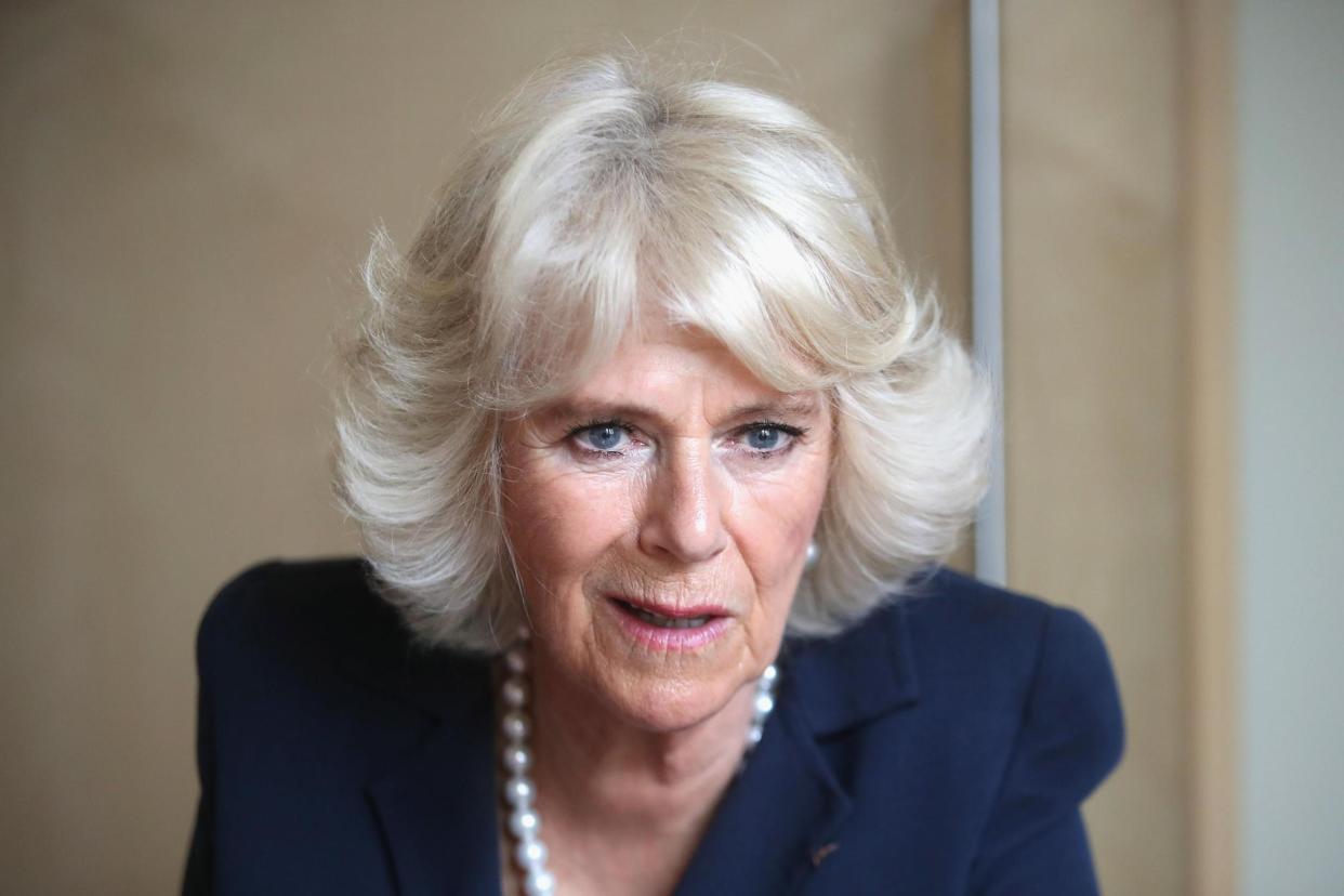 Speaking out: The Duchess of Cornwall: PA