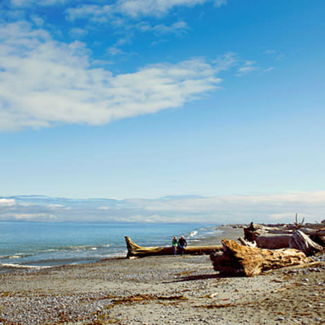 The beach walk