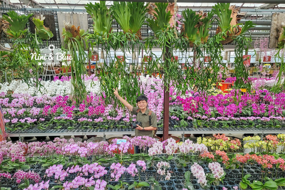 台中后里｜萌芳花卉農場