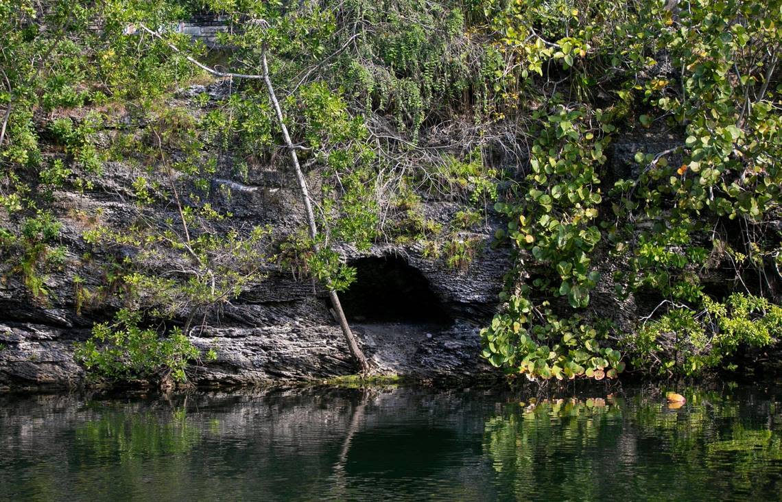 Luis Pujol says Cuban migrants sometimes hid in limestone caves like this one, next to Cocoplum Circle, to avoid immigration authorities while being smuggled into the U.S. via the Coral Gables Waterway in the 1980s.