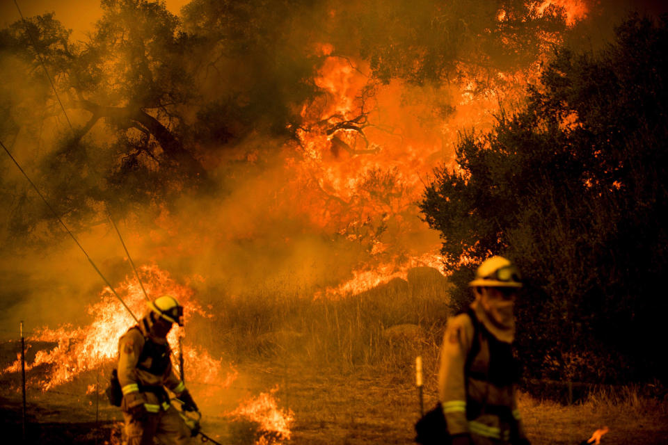 <p>Firefighters try to prevent a wildfire from jumping Santa Ana Road near Ventura, California, on December 9.</p>