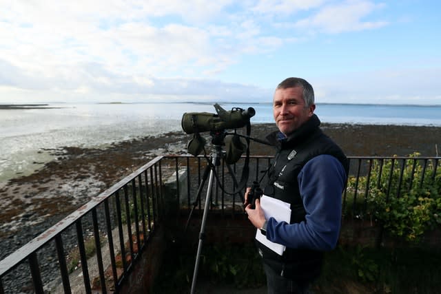 Annual count of Canadian Brent Geese at Strangford Lough