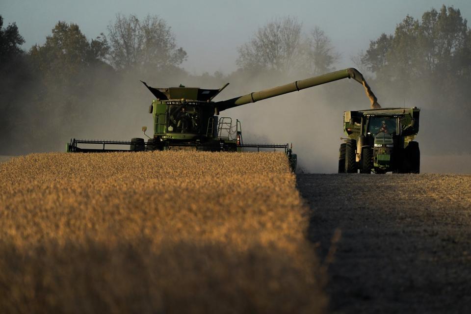 Jed Clark drives his combine while harvesting soybeans, Wednesday, Nov. 8, 2023, in Lynnville, Ky. After historic rainfall in July 2023, floods submerged crops on Clark's farm, destroying about 18 acres of tobacco crop and 200 acres of soybeans. (AP Photo/Joshua A. Bickel)