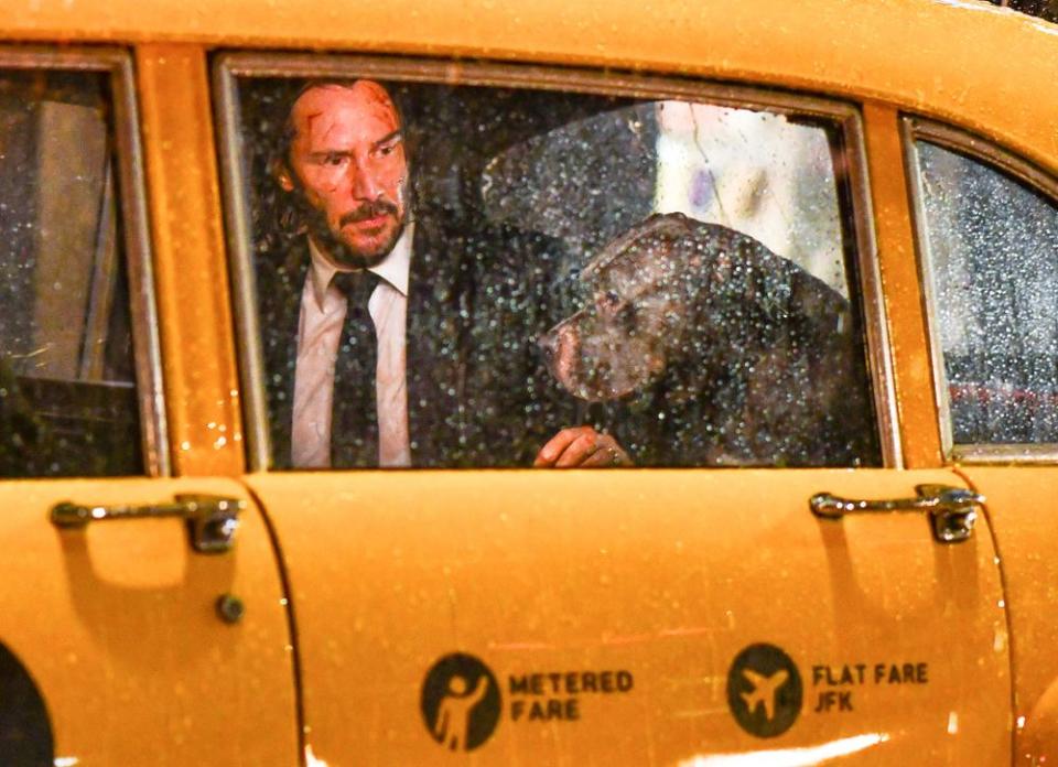 Did John Wick's Dog Die Again? Seen with German Shepherd for New Film