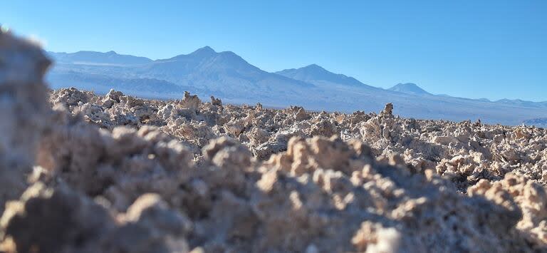 El Salar de Atacama, una de las principales atracciones turísticas en Antofagasta