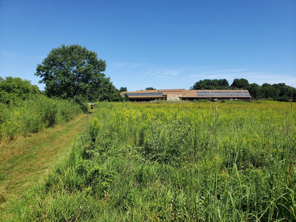 A trail leads from the UW Arboretum Visitor Center into the 73-acre Curtis Prairie, the world's oldest ecologically restored prairie. 