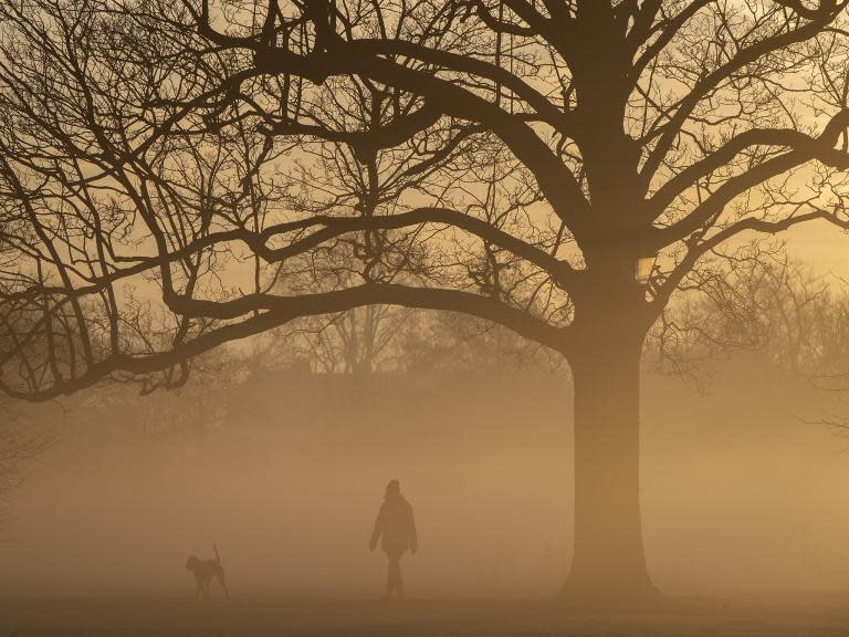 UK weather forecast: Dense fog, rain and frosts to bring an end to brief spell of balmy weather