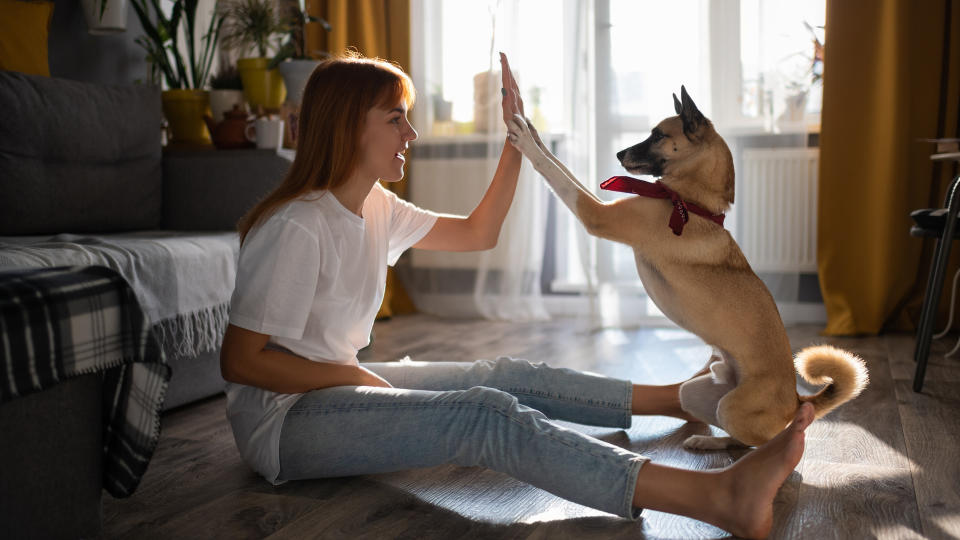 Woman high-fiving dog