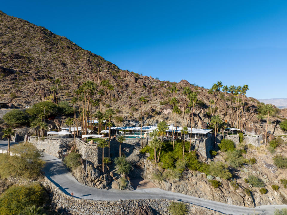 bougain villa palm springs