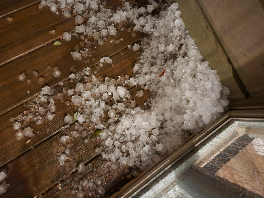 Quarter-sized hail in Horseshoe Bay around 5 a.m. Jan. 23. (Credit: Kay Young)