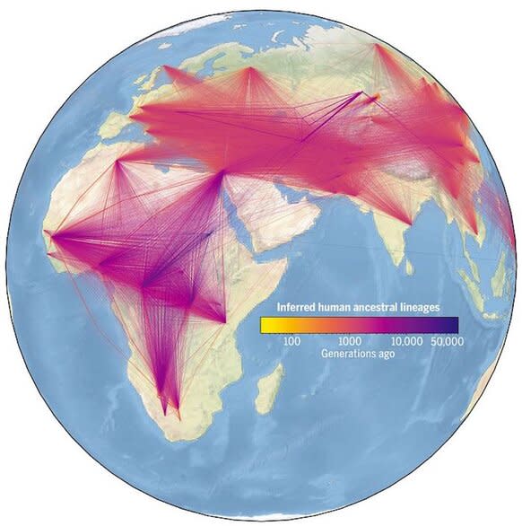 Cassidy Inferred Human Ancestral Lineages