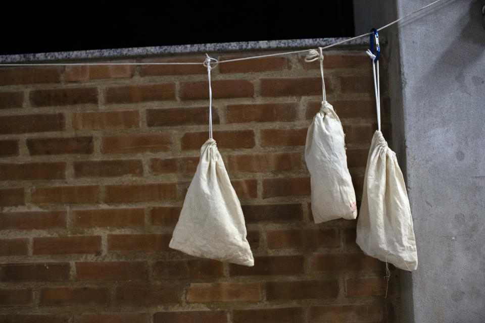 Bats, inside cloth bags, hang from a line at Brazil's state-run Fiocruz Institute at Pedra Branca state park, near Rio de Janeiro, Tuesday, Nov. 17, 2020. A 2019 study found that of viruses originating from the five most common mammalian sources — primates, rodents, carnivores, ungulates and bats — those from bats are the most virulent in humans. (AP Photo/Silvia Izquierdo)